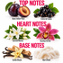 A fragrance notes graphic with six botanical and material samples arranged in three sections labeled TOP NOTES, HEART NOTES, and BASE NOTES. The top section shows a sliced black plum and a cluster of dark berries labeled Black Amber Plum and Crème de Cassis.