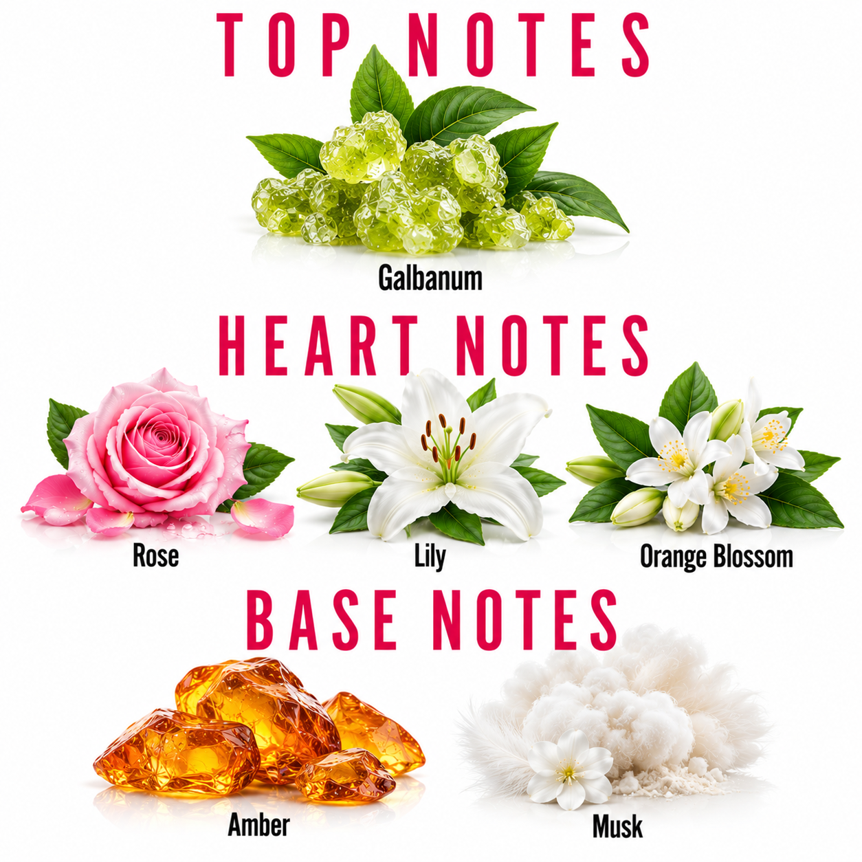A fragrance notes graphic on a white background with pink text reading TOP NOTES, HEART NOTES, and BASE NOTES. Top notes show green galbanum crystals; heart notes show a pink rose, a white lily, and white orange blossom flowers; base notes show amber beads and white musk powder.