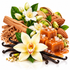 A styled arrangement of fragrance ingredients on a white background, including vanilla beans, white orchid flowers, cinnamon sticks, almonds, pistachios, and caramel-colored cubes with coarse salt.