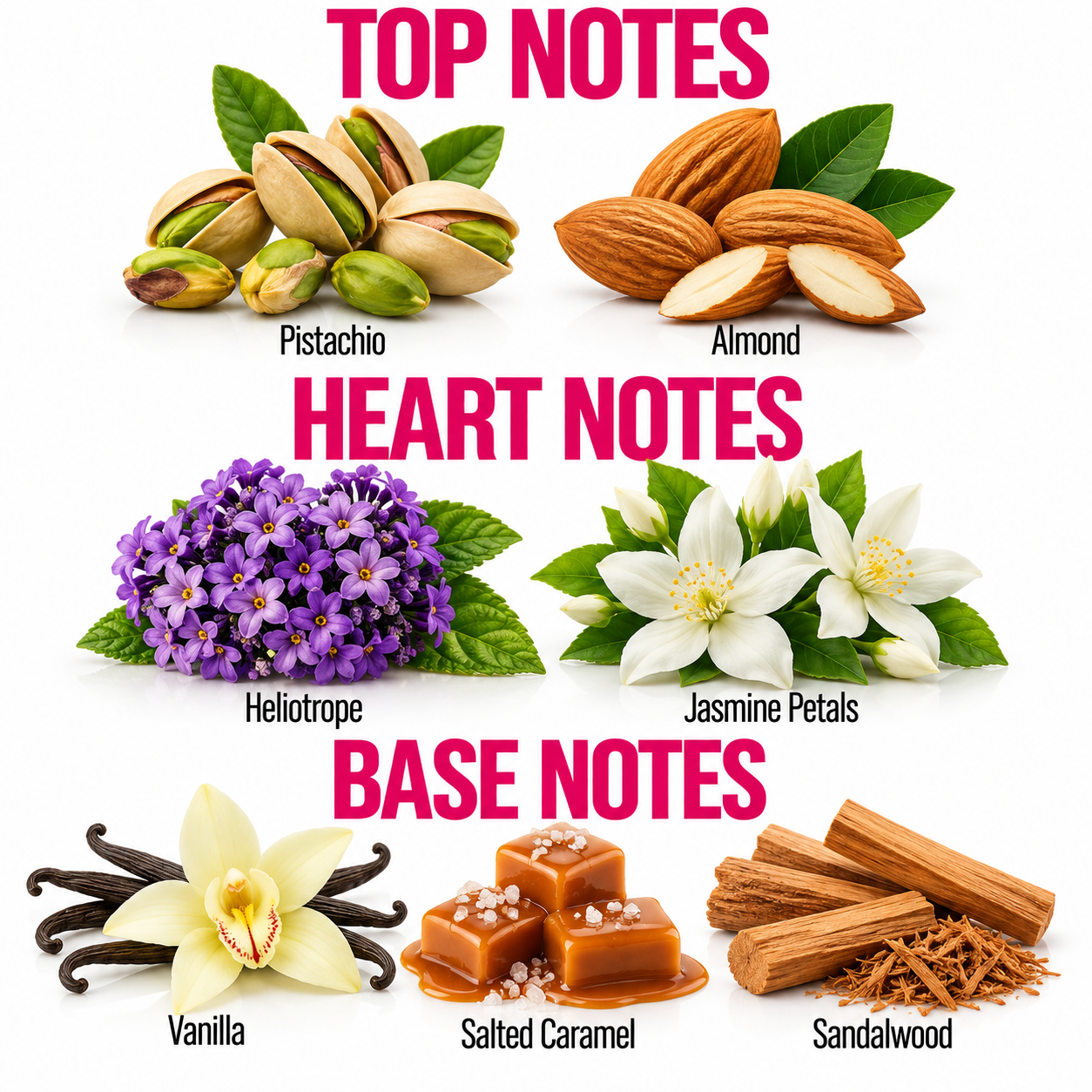 A fragrance notes graphic on a white background with pink text reading TOP NOTES, HEART NOTES, and BASE NOTES. Top notes include pistachio, almond, heliotrope flowers, and jasmine petals.