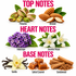 A fragrance notes graphic on a white background with pink text reading TOP NOTES, HEART NOTES, and BASE NOTES. Top notes include pistachio, almond, heliotrope flowers, and jasmine petals.