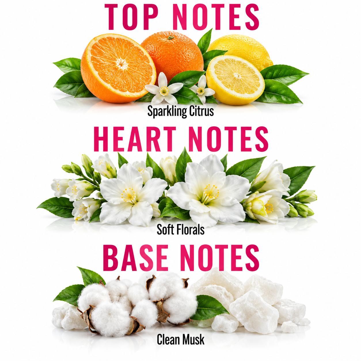 A fragrance notes graphic on a white background with three horizontal sections labeled TOP NOTES, HEART NOTES, and BASE NOTES in pink text. Top notes show citrus fruits (orange and lemon) with white blossoms and green leaves, labeled Sparkling Citrus.