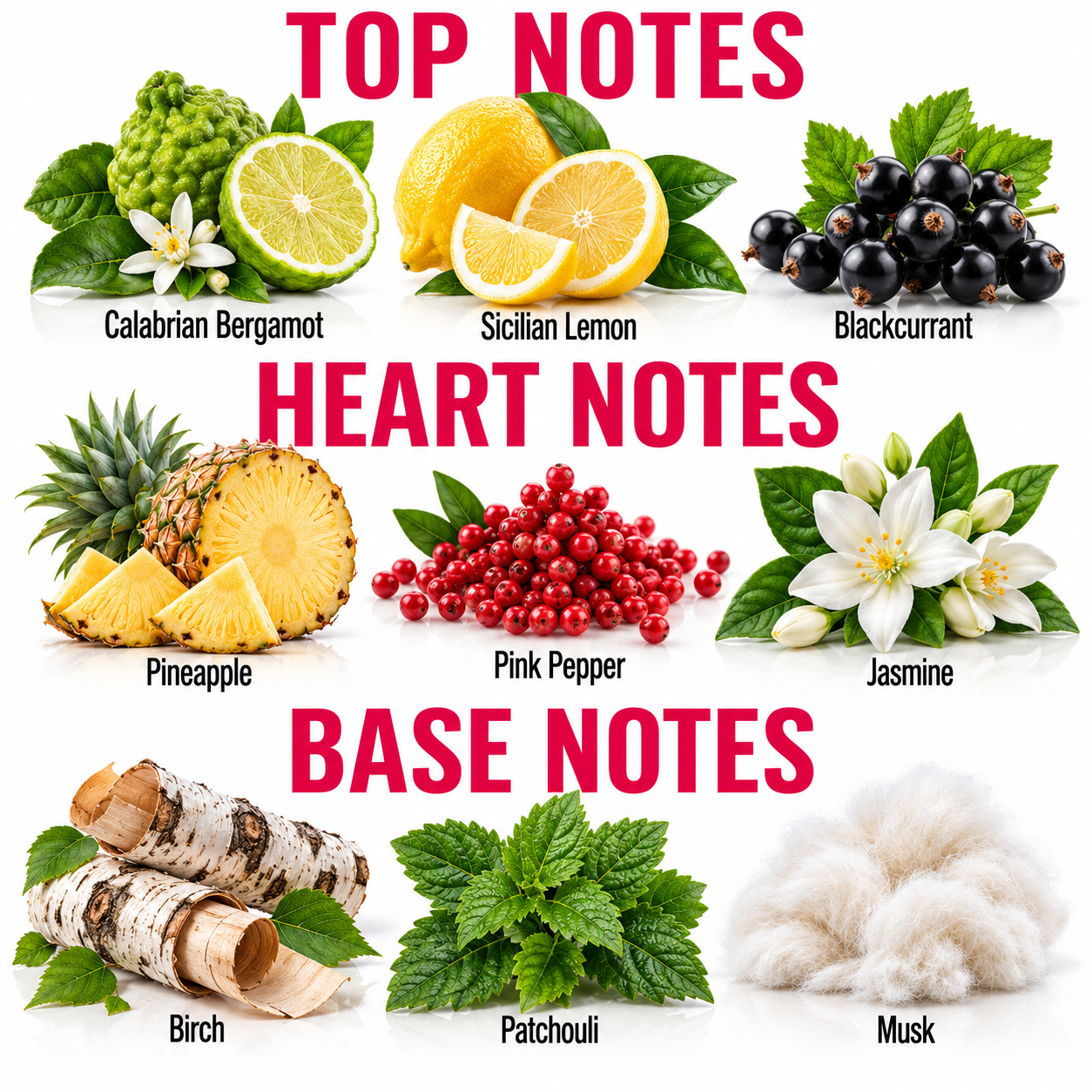 An infographic-style fragrance notes grid with the headings TOP NOTES, HEART NOTES, and BASE NOTES. The top row shows Calabrian Bergamot, Sicilian Lemon, and Blackcurrant; the middle row shows Pineapple, Pink Pepper, and Jasmine; the bottom row shows Birch, Patchouli, and Musk.
