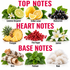 An infographic-style fragrance notes grid with the headings TOP NOTES, HEART NOTES, and BASE NOTES. The top row shows Calabrian Bergamot, Sicilian Lemon, and Blackcurrant; the middle row shows Pineapple, Pink Pepper, and Jasmine; the bottom row shows Birch, Patchouli, and Musk.