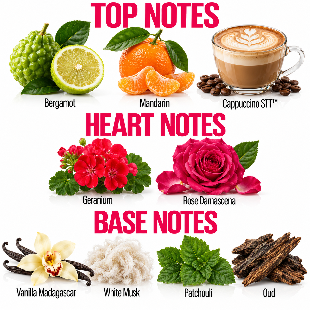 A fragrance notes graphic with fruit and botanical illustrations labeled for a perfume or scent profile. Large pink text reads TOP NOTES, HEART NOTES, and BASE NOTES, with images of bergamot, mandarin, cappuccino ST, geranium, rose damascena, vanilla Madagascar, white musk, patchouli, and oud on a white background.