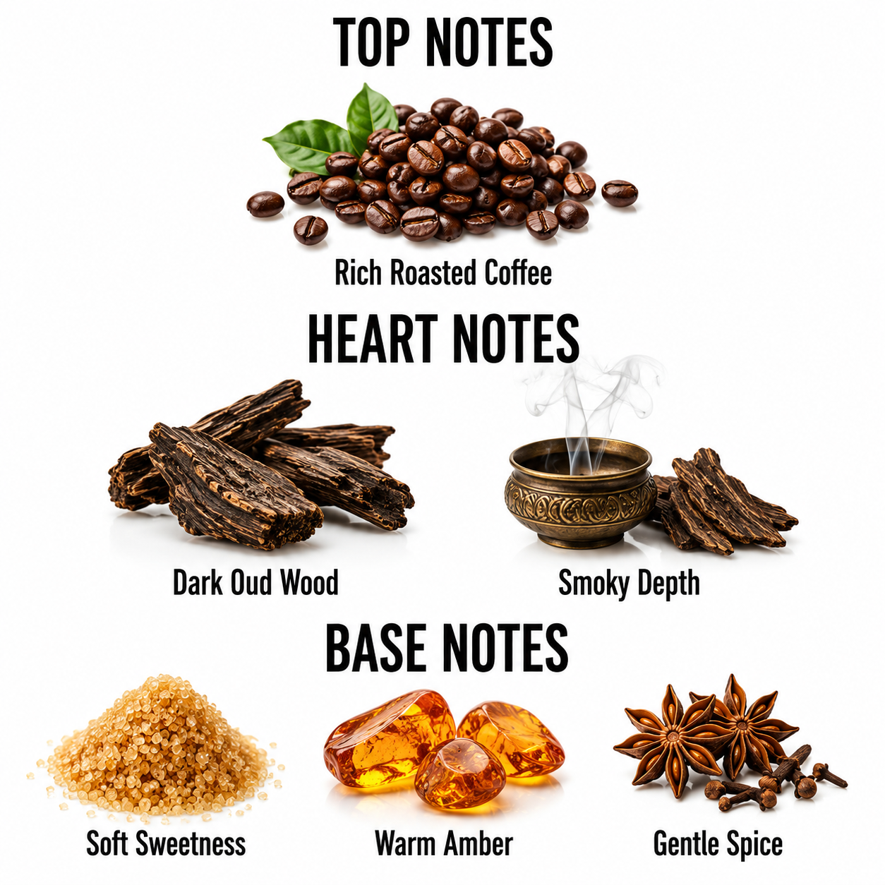 A fragrance notes graphic on a white background showing top, heart, and base notes with corresponding imagery: roasted coffee beans, dark oud wood pieces, a bronze smoking bowl, soft brown sugar, amber stones, and star anise. Text labels include Top Notes, Heart Notes, Base Notes, Rich Roasted Coffee, Dark Oud Wood, Smoky Depth, Soft Sweetness, Warm Amber, and Gentle Spice.