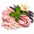 A styled arrangement of holiday ingredients on a white background, including red-and-white striped candy canes, crushed candy canes, two peppermint candies, vanilla beans, a mint leaf sprig, and a cream vanilla flower.
