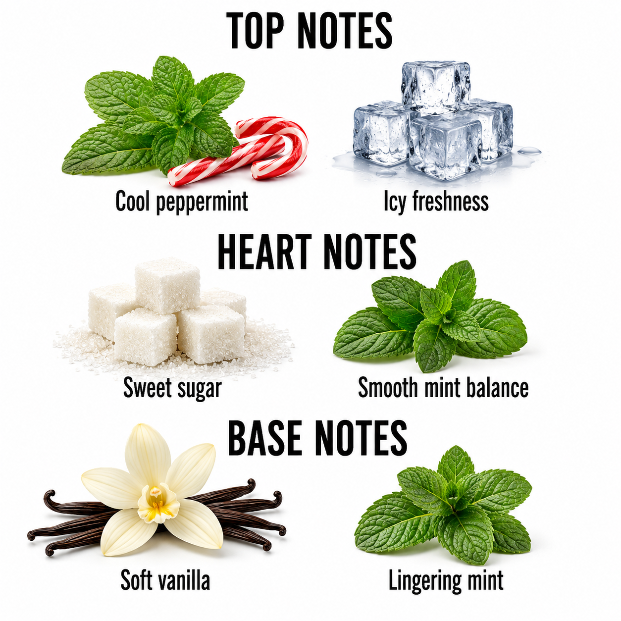 A fragrance notes graphic on a white background labeled TOP NOTES, HEART NOTES, and BASE NOTES, with illustrated ingredients: cool peppermint mint leaves and candy canes, icy cubes, white sugar cubes, more mint leaves, soft vanilla flower and beans, and lingering mint leaves. Text labels describe each note.