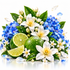 A vibrant floral and fruit arrangement featuring blue flowers, white blossoms with yellow centers, green leaves, and whole and sliced limes on a clean white background.