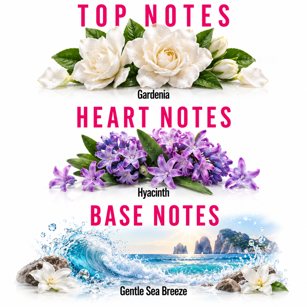 A fragrance notes graphic with three botanical and scenic sections labeled TOP NOTES, HEART NOTES, and BASE NOTES. The top section shows white gardenia flowers with pink text reading TOP NOTES and Gardenia.
