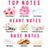 A fragrance notes graphic with the headings TOP NOTES, HEART NOTES, and BASE NOTES on a white background. Cherry Blossom, Soft Floral Notes, Airy Freshness, Clean Cotton, Airy Florals, Fresh Linen Accord, White Musk, Light Woods, and Gentle Warmth are shown with small illustrative photos and labels.