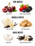 A fragrance notes graphic on a white background with three labeled sections: Top Notes showing cherries and berries, Middle Notes showing vanilla cream and sugar cubes, and Base Notes showing vanilla beans and powder, with text labels such as Juicy Cherry, Bright Fruity Sweetness, Creamy Vanilla, Soft Sugar Notes, Light Musk, and Smooth Gourmand Finish.