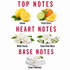 A fragrance notes graphic on a white background with red text reading 'TOP NOTES', 'HEART NOTES', and 'BASE NOTES'. Top notes are illustrated with lemons, citrus slices, white flowers, and folded white towels labeled 'Lemon', 'Fresh Citrus', 'White Florals', and 'Clean Freshness'.
