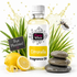 A bottle of Fizzy Whiz Citronella Fragrance Oil centered on a white background, surrounded by lemon slices, green leaves, stacked gray stones, a small sign reading 'Bye Mozzies!', and a cartoon bee with a splash effect behind it.
