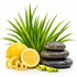 A styled spa-themed arrangement on a white background featuring a whole and sliced yellow lemon with curled peel, a tall green leafy plant, smooth stacked dark gray stones, and small green stems.