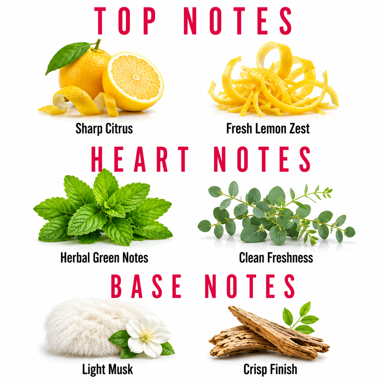 A fragrance notes graphic on a white background with red headers reading TOP NOTES, HEART NOTES, and BASE NOTES. The top section shows sharp citrus and fresh lemon zest; the middle section shows green mint leaves and eucalyptus with the text Herbal Green Notes and Clean Freshness; the bottom section shows a fluffy white fabric with a white flower labeled Light Musk and wood chips labeled Crisp Finish.