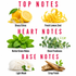 A fragrance notes graphic on a white background with red headers reading TOP NOTES, HEART NOTES, and BASE NOTES. The top section shows sharp citrus and fresh lemon zest; the middle section shows green mint leaves and eucalyptus with the text Herbal Green Notes and Clean Freshness; the bottom section shows a fluffy white fabric with a white flower labeled Light Musk and wood chips labeled Crisp Finish.