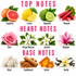 A fragrance notes chart titled 'TOP NOTES', 'HEART NOTES', and 'BASE NOTES' with labeled illustrations of citrus fruits, rhubarb, roses, blossoms, vanilla, sandalwood, amber, and musk.