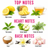 A fragrance scent profile graphic with three labeled sections: TOP NOTES, HEART NOTES, and BASE NOTES. The top notes include ripe lemon, pineapple, and tea.