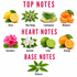 A botanical notes chart on a white background with pink headings reading TOP NOTES, HEART NOTES, and BASE NOTES. Each note is paired with a labeled fruit or herb illustration: Citrus, May Chang, Lemongrass, Mandarin, Geranium, Jasmine, Lime, Orange, and Verbena.