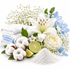 A styled arrangement of skincare and cleansing ingredients and props on a white background: folded white and light blue towels, a white lily, a white rose, cotton bolls, lime slices, and a pile of white powder. No person, animal, or real environment is present, so this is Product/Packaging rather than Lifestyle.