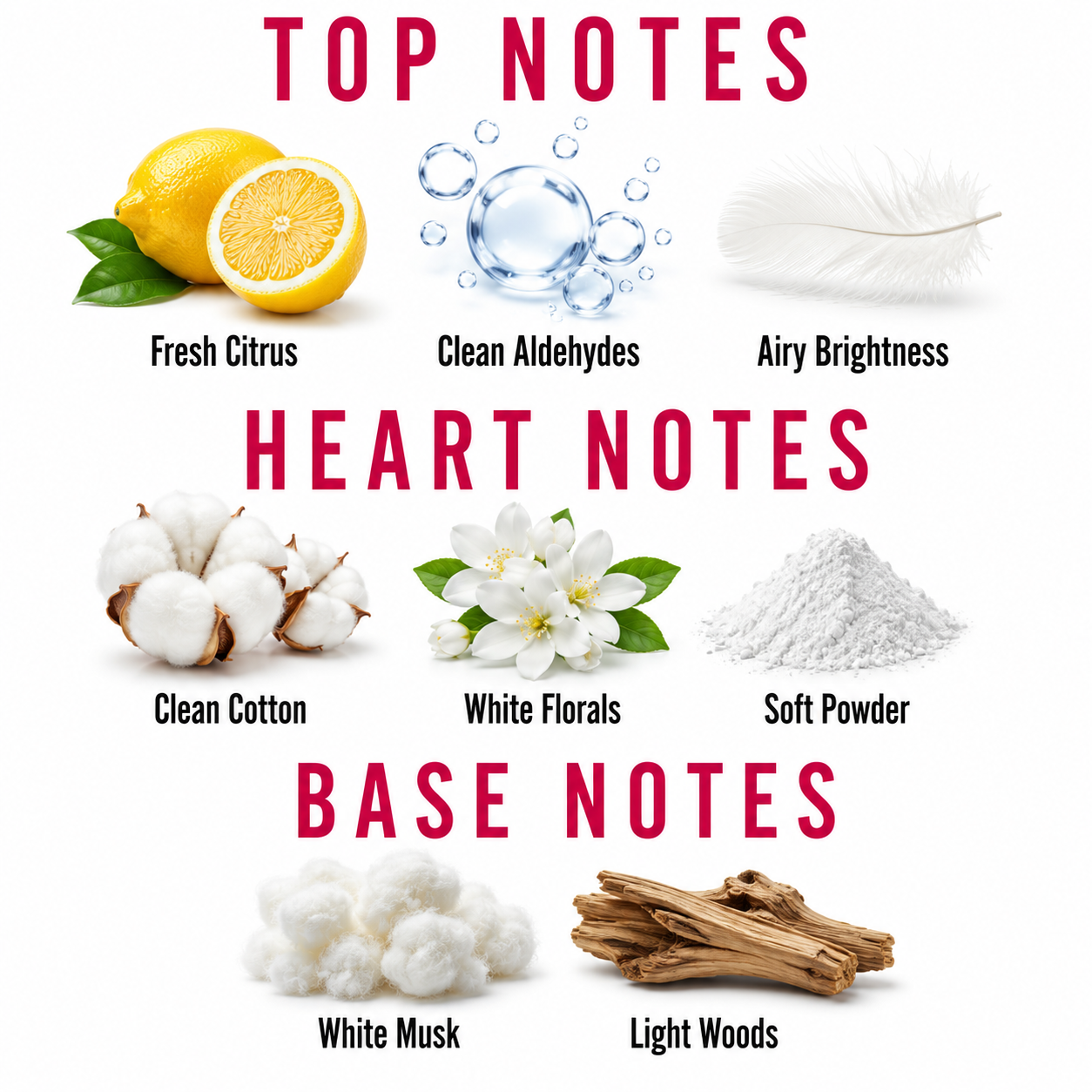 A fragrance notes graphic on a white background with red headers reading TOP NOTES, HEART NOTES, and BASE NOTES. Fresh citrus, clean aldehydes, a feather, cotton, white florals, soft powder, white musk, and light woods are illustrated with labels.