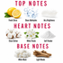 A fragrance notes graphic on a white background with red headers reading TOP NOTES, HEART NOTES, and BASE NOTES. Fresh citrus, clean aldehydes, a feather, cotton, white florals, soft powder, white musk, and light woods are illustrated with labels.