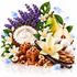 A styled botanical and food arrangement on a white background featuring purple lavender sprigs, white flowers, green pears, cotton bolls, vanilla beans, hazelnuts, caramel, and a bowl of whipped cream.