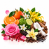 A styled botanical still life of mixed botanical and fruit ingredients on a white background, including a pink rose, yellow blossoms, orange slices, lime, coconut pieces, vanilla beans, and red berries.
