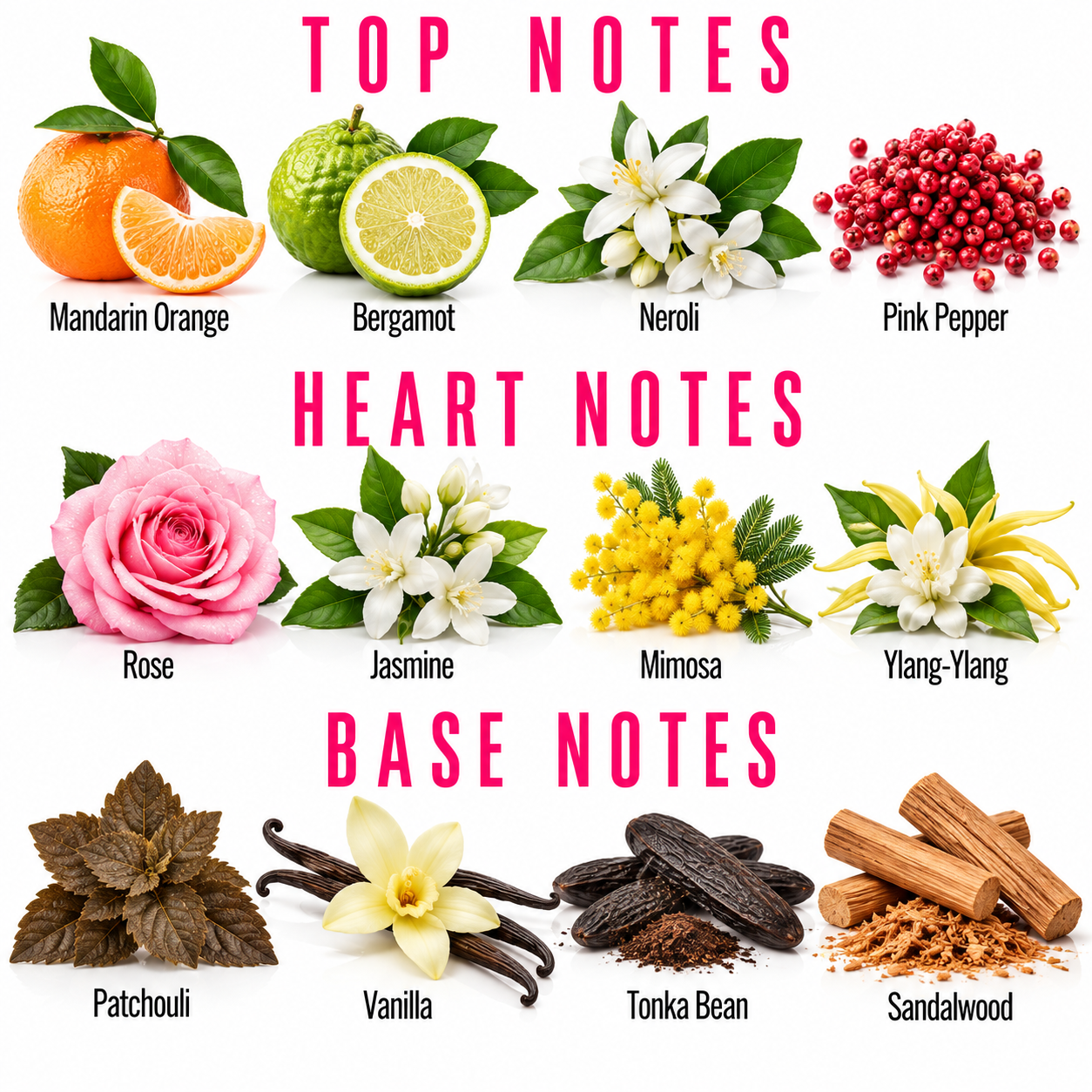 A fragrance notes chart titled 'TOP NOTES', 'HEART NOTES', and 'BASE NOTES' showing illustrated or photographed scent ingredients: Mandarin Orange, Bergamot, Neroli, Pink Pepper, Rose, Jasmine, Mimosa, Ylang-Ylang, Patchouli, Vanilla, Tonka Bean, and Sandalwood on a white background.