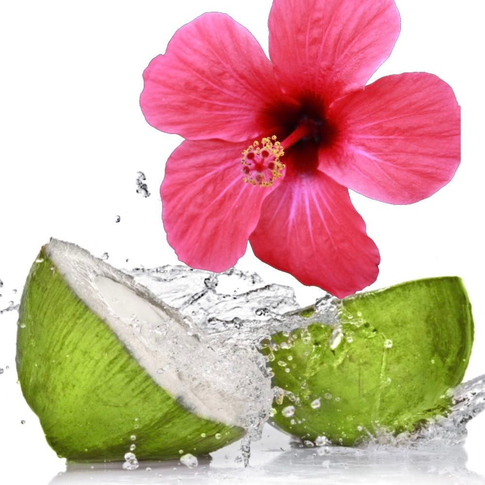 Hibiscus & Coconut Water Fragrance Oil