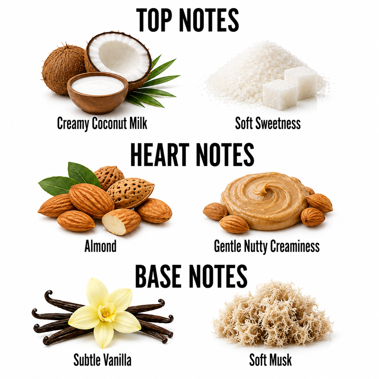 A fragrance notes infographic on a white background, divided into Top Notes, Heart Notes, and Base Notes. The top notes are creamy coconut milk (coconut and milk imagery) and soft sweetness (white sugar cubes).
