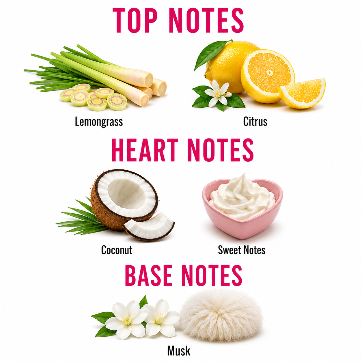 A fragrance notes graphic on a white background with pink headers reading TOP NOTES, HEART NOTES, and BASE NOTES. Top notes include lemongrass, citrus, coconut, and sweet notes.