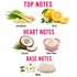 A fragrance notes graphic on a white background with pink headers reading TOP NOTES, HEART NOTES, and BASE NOTES. Top notes include lemongrass, citrus, coconut, and sweet notes.