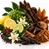 A styled botanical still life featuring dark brown leather sheets, dried orange-brown bark, star anise, black peppercorns, green and yellow citrus slices, white flowers, and green leaves on a white reflective surface.