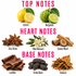A fragrance notes graphic on a white background with pink headers reading TOP NOTES, HEART NOTES, and BASE NOTES. Top notes shown are lemon and bergamot; heart notes are star anise, olive blossom, and guaiac wood; base notes are leather, tonka bean, and tobacco.