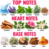 An educational fragrance composition chart titled 'TOP NOTES', 'HEART NOTES', and 'BASE NOTES' showing botanical and material illustrations with names: Sea Water, Lavender, Mint, Green Notes, Rosemary, Coriander, Sandalwood, Neroli, Geranium, Jasmine, Musk, Oakmoss, Cedar, Tobacco, and Amber.