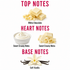A fragrance notes graphic on a white background with red text reading TOP NOTES, HEART NOTES, and BASE NOTES. Top notes are white chocolate; heart notes are sweet creamy notes; base notes are soft vanilla with a vanilla flower and beans.