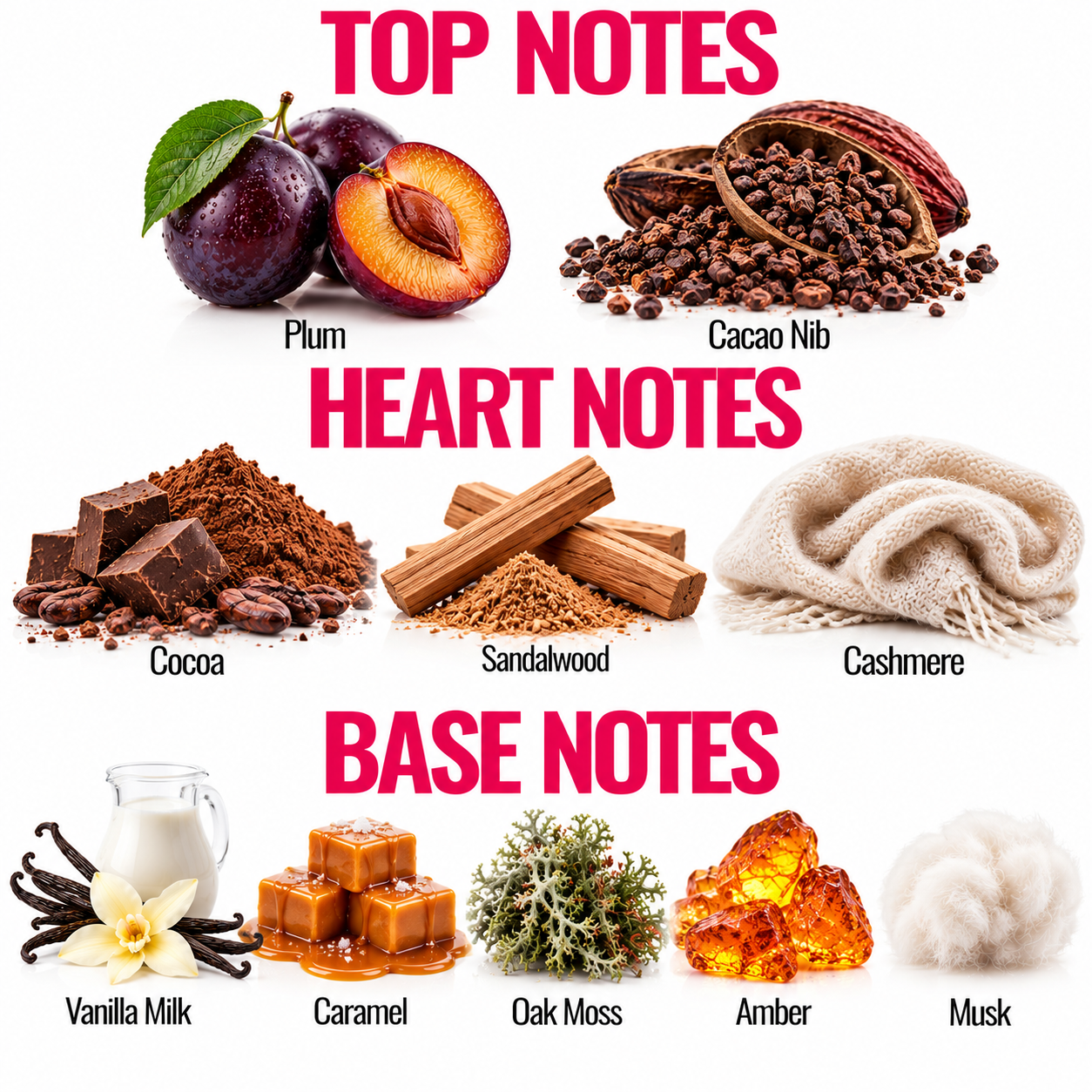 A fragrance scent profile graphic with fruit, spices, and textiles labeled by note type: Top Notes include Plum and Cacao Nib; Heart Notes include Cocoa, Sandalwood, and Cashmere; Base Notes include Vanilla Milk, Caramel, Oak Moss, Amber, and Musk.