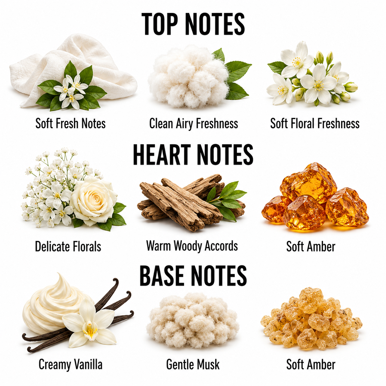 A fragrance notes chart on a white background with three labeled sections: Top Notes, Heart Notes, and Base Notes. Each section shows small ingredient-style photos and text labels such as Soft Fresh Notes, Clean Airy Freshness, Soft Floral Freshness, Delicate Florals, Warm Woody Accords, Soft Amber, Creamy Vanilla, Gentle Musk, and Soft Amber.