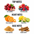 A fragrance notes graphic on a white background with black headings reading TOP NOTES, HEART NOTES, and BASE NOTES. Top notes show tart cranberry and fresh berry notes with illustrated fruits.