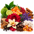 A styled botanical still life with citrus fruits, cinnamon sticks, purple lavender, red rose petals, vanilla beans, amber stones, cocoa powder, and a large red rose arranged on a white background.
