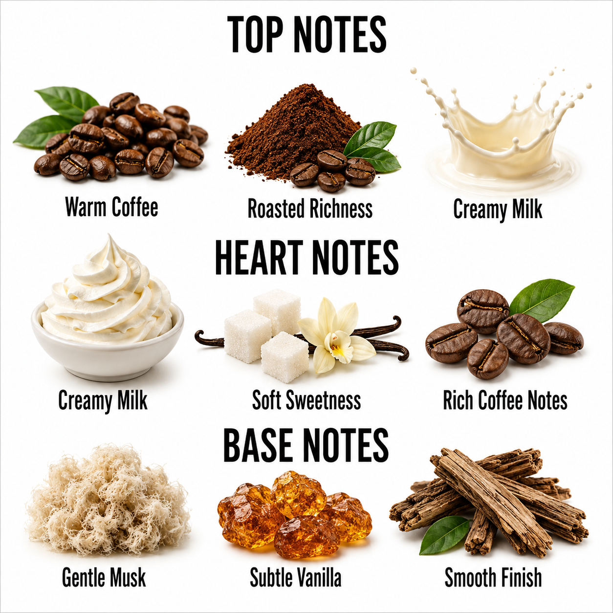 A fragrance notes graphic on a white background with the headings TOP NOTES, HEART NOTES, and BASE NOTES. The top notes show roasted coffee beans, coffee powder, and a creamy milk splash labeled Warm Coffee, Roasted Richness, and Creamy Milk.