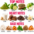A fragrance notes graphic with labeled ingredient imagery arranged in three sections: Top Notes, Heart Notes, and Base  Notes. Visible ingredients include matcha, bergamot, mate, green apple, oat milk, praline, coffee, vanilla, sweet musk, sandalwood, amber, patchouli, vetiver, and K&LAI Signature Accord.