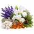 A botanical and natural assortment on a white background, featuring white irises, purple lavender, green conifer foliage, pale moss, white coral-like pieces, amber-colored crystals, and a small pinecone.