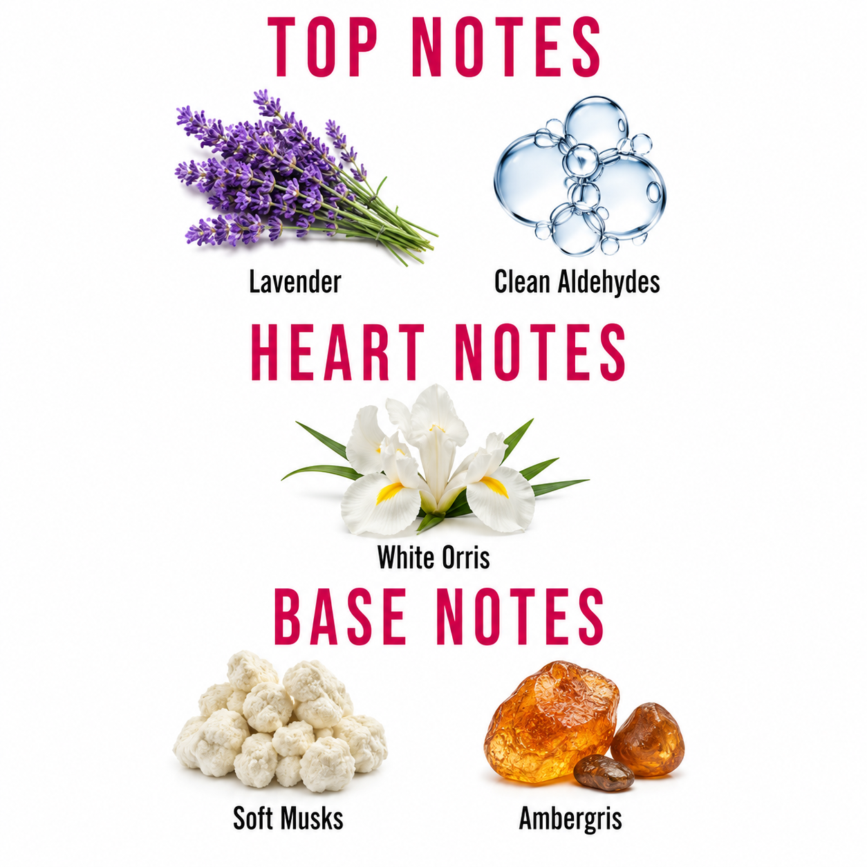 A fragrance notes graphic on a white background with pink text reading TOP NOTES, HEART NOTES, and BASE NOTES. Lavender flowers appear under TOP NOTES, clean aldehydes are shown as blue liquid droplets, white orris flowers under HEART NOTES, soft musks and ambergris appear under BASE NOTES.