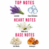 A fragrance notes graphic on a white background with pink text reading TOP NOTES, HEART NOTES, and BASE NOTES. Lavender flowers appear under TOP NOTES, clean aldehydes are shown as blue liquid droplets, white orris flowers under HEART NOTES, soft musks and ambergris appear under BASE NOTES.
