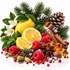 Frosted Spruce Fragrance Oil