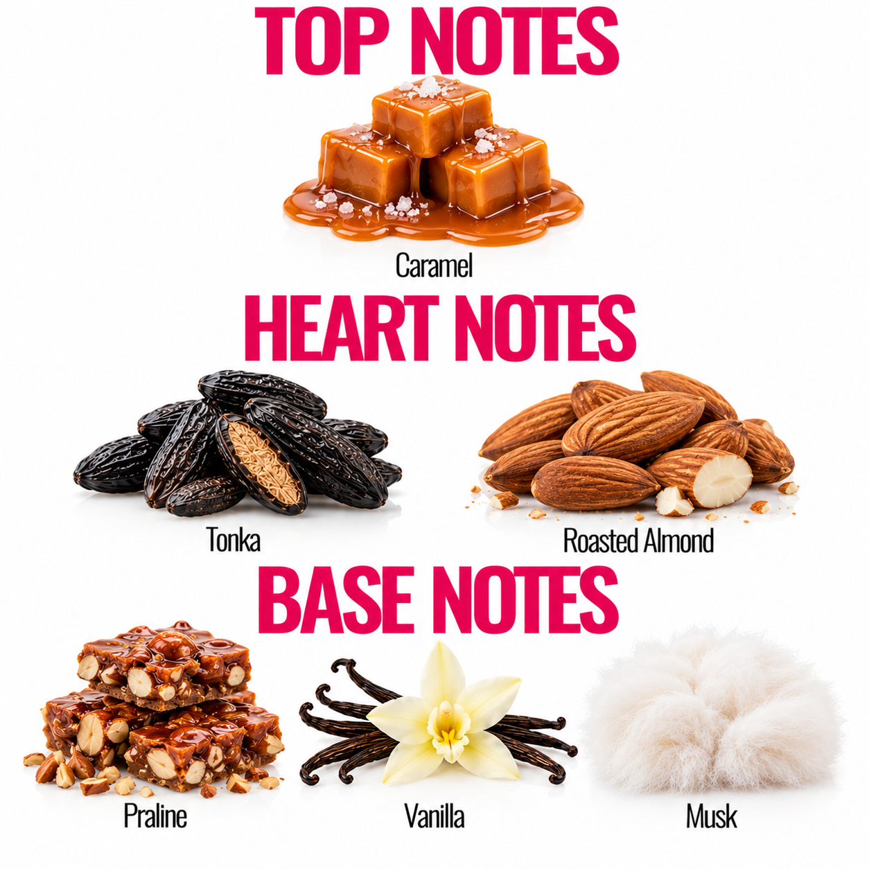 Roasted Almond & Caramel Fragrance Oil