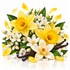 A floral arrangement featuring bright yellow daffodils, white jasmine-like blossoms, green leaves, scattered petals, vanilla beans, and a few white flowers on a clean white background.
